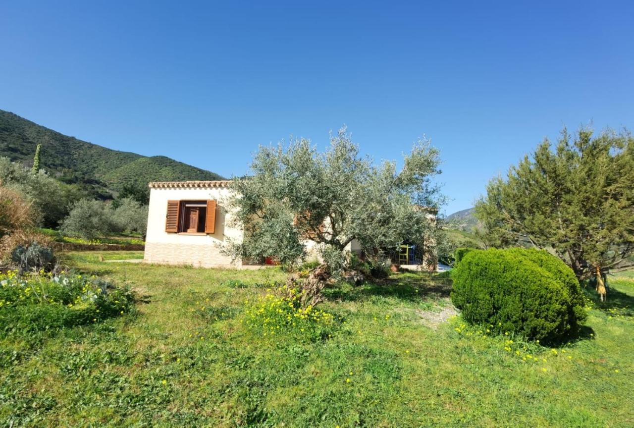 Villa Domu Abi Manna à Tertenìa Extérieur photo