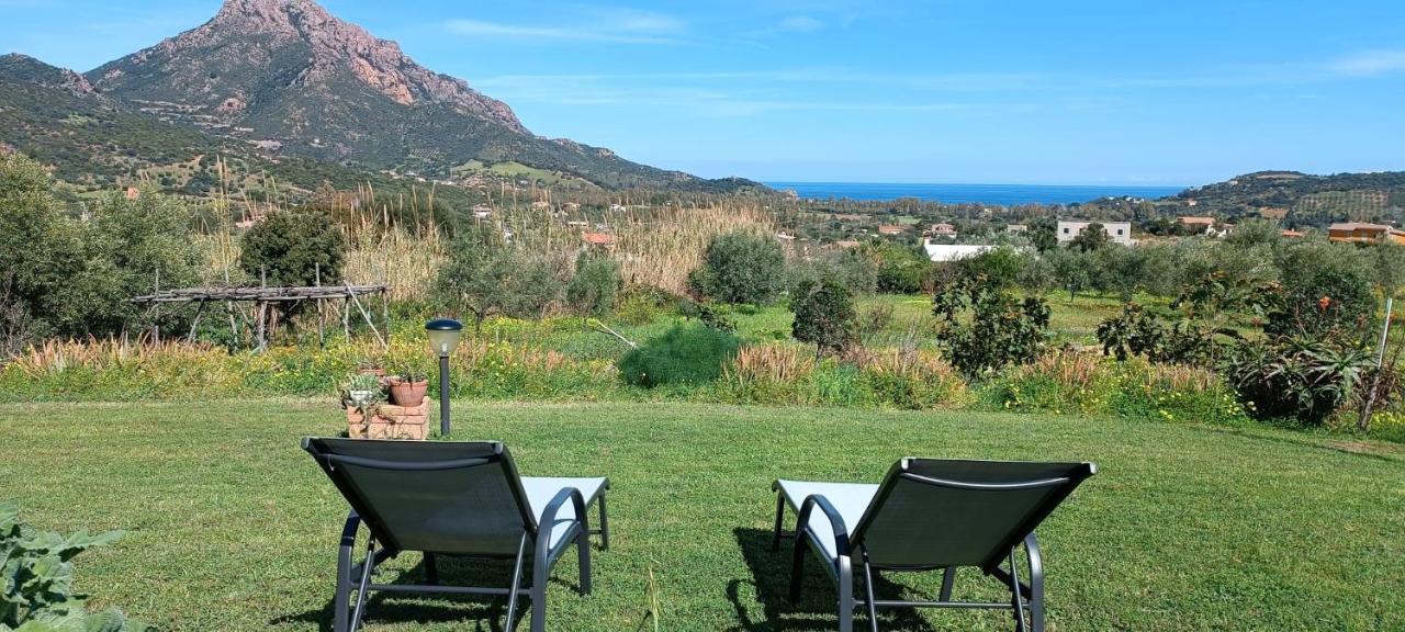 Villa Domu Abi Manna à Tertenìa Extérieur photo
