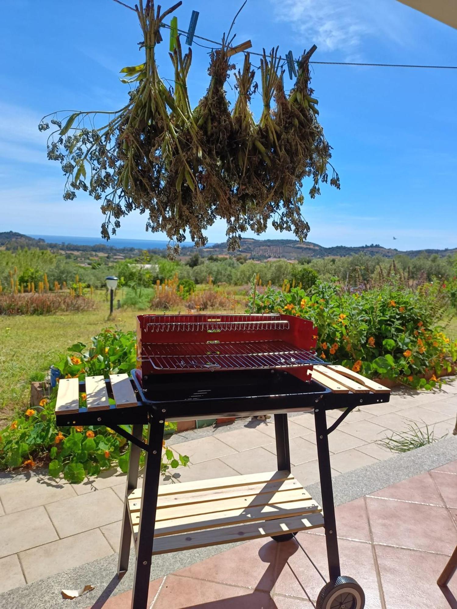 Villa Domu Abi Manna à Tertenìa Extérieur photo